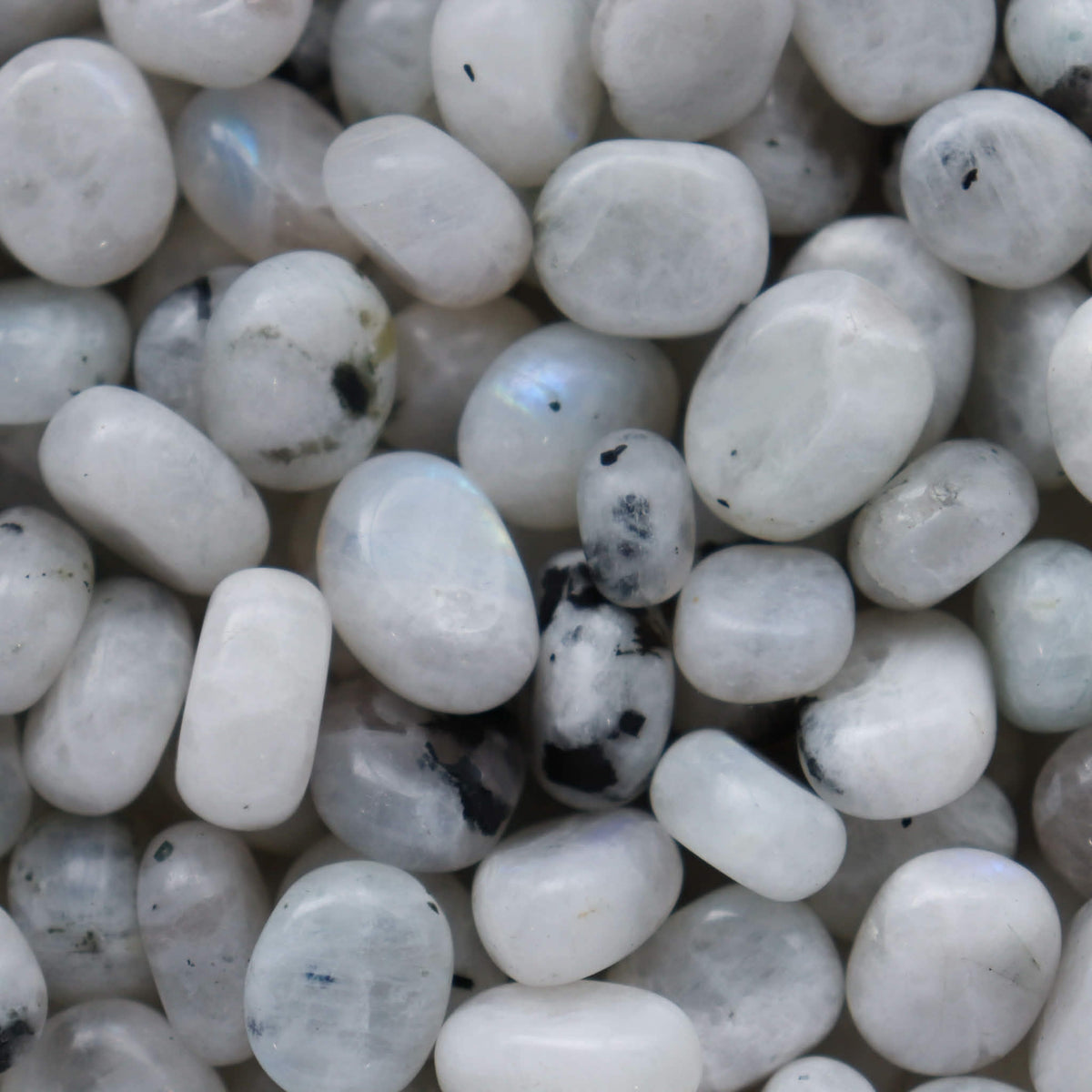 Rainbow Moonstone Confetti Scoop