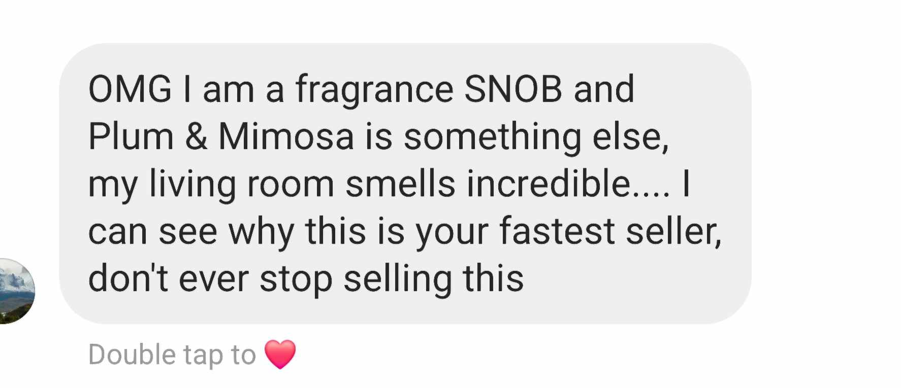 Plum Mimosa Car Diffuser