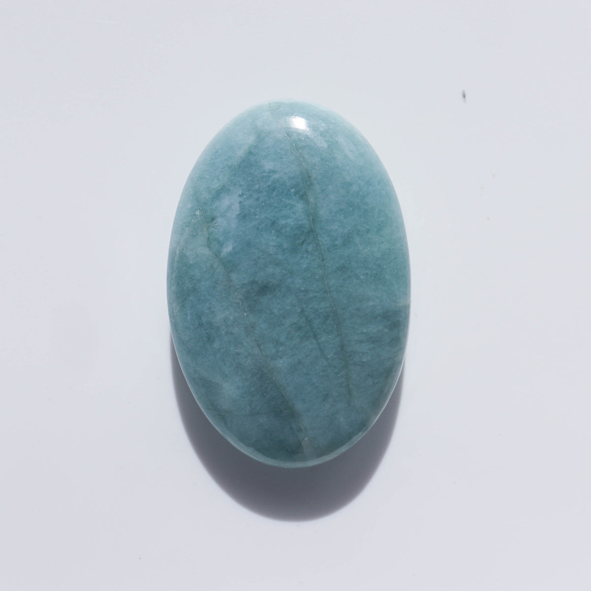 Aquamarine Palm #1