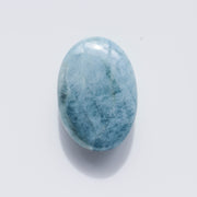 Aquamarine Palm #2