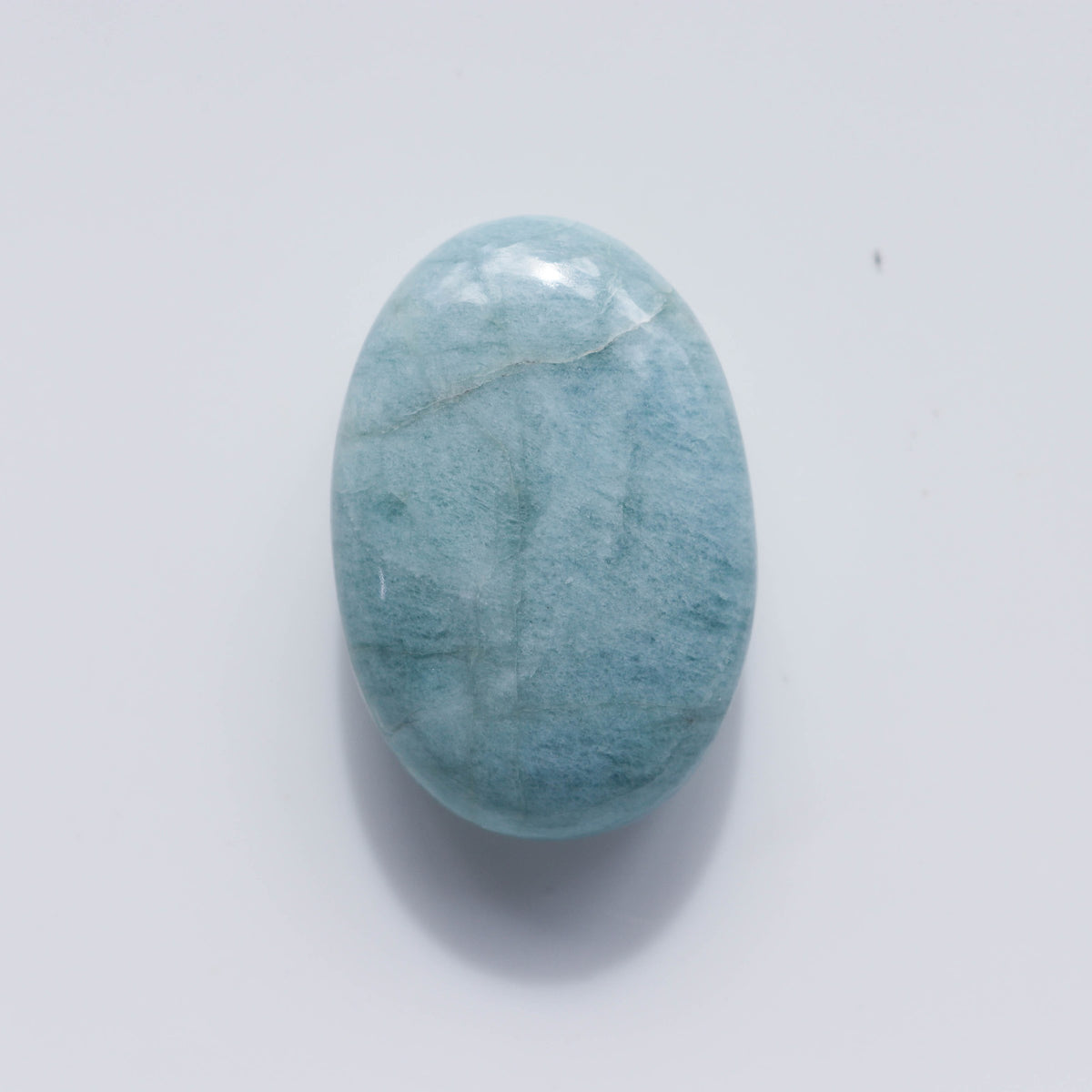 Aquamarine Palm #3