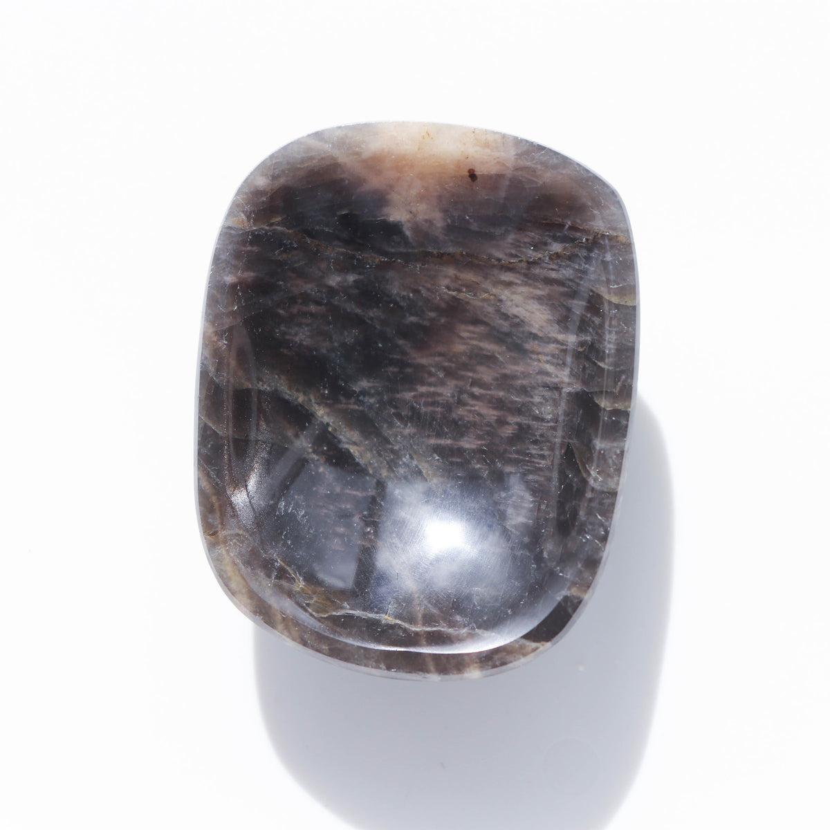 Black Moonstone Palm