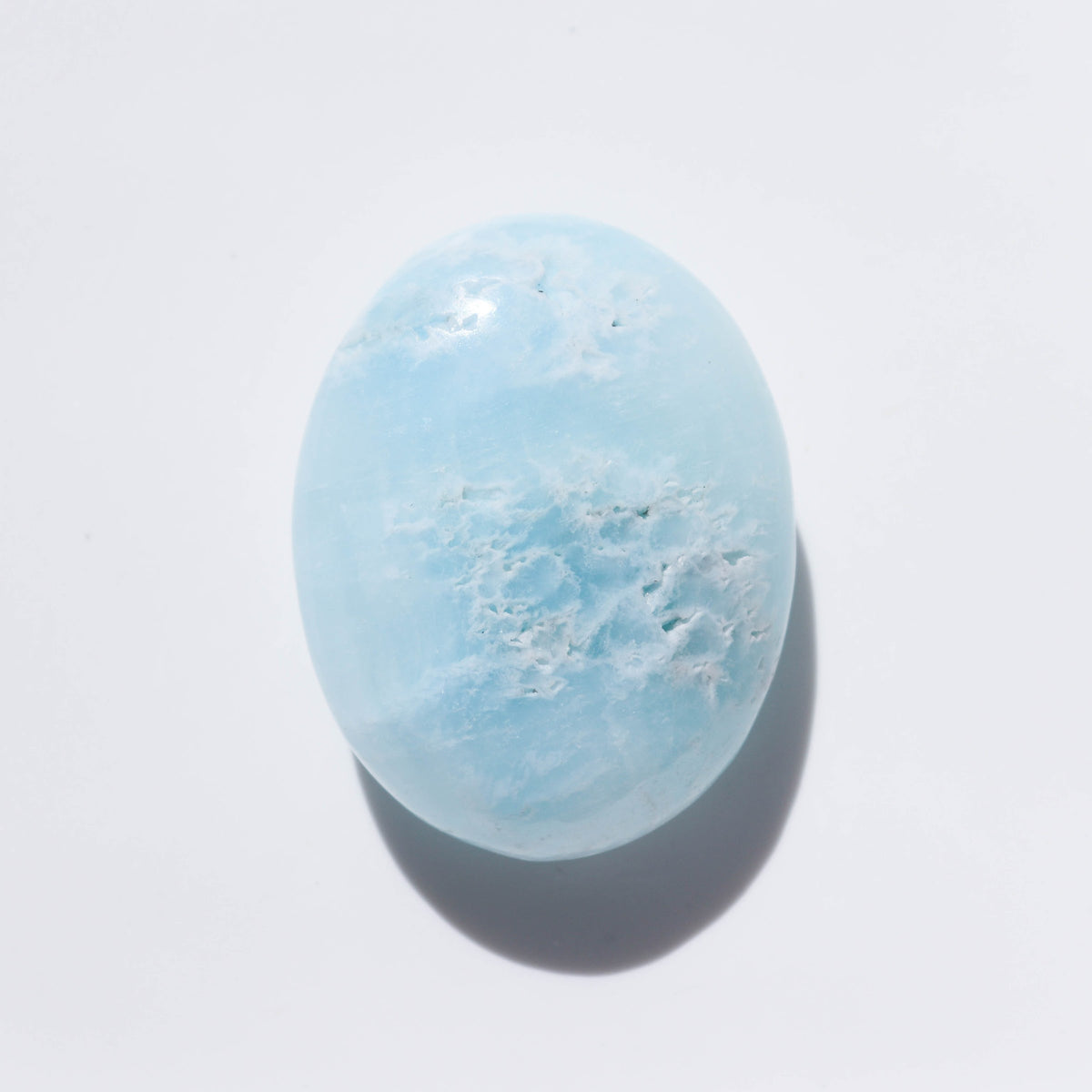 Blue Aragonite Palm #1