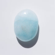 Blue Aragonite Palm #2