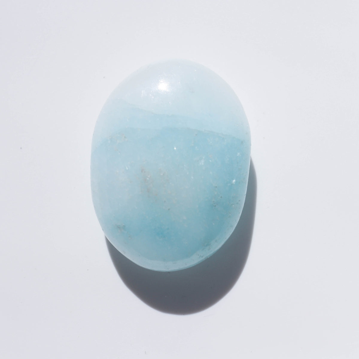 Blue Aragonite Palm #2