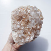 Golden Himalayan Cluster #1