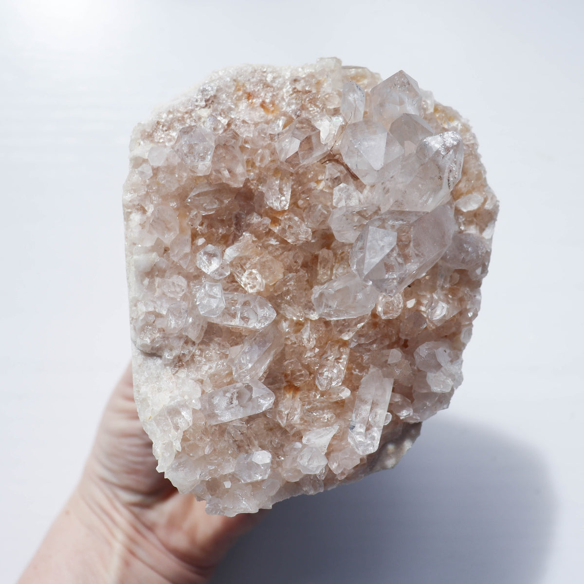 Golden Himalayan Cluster #1