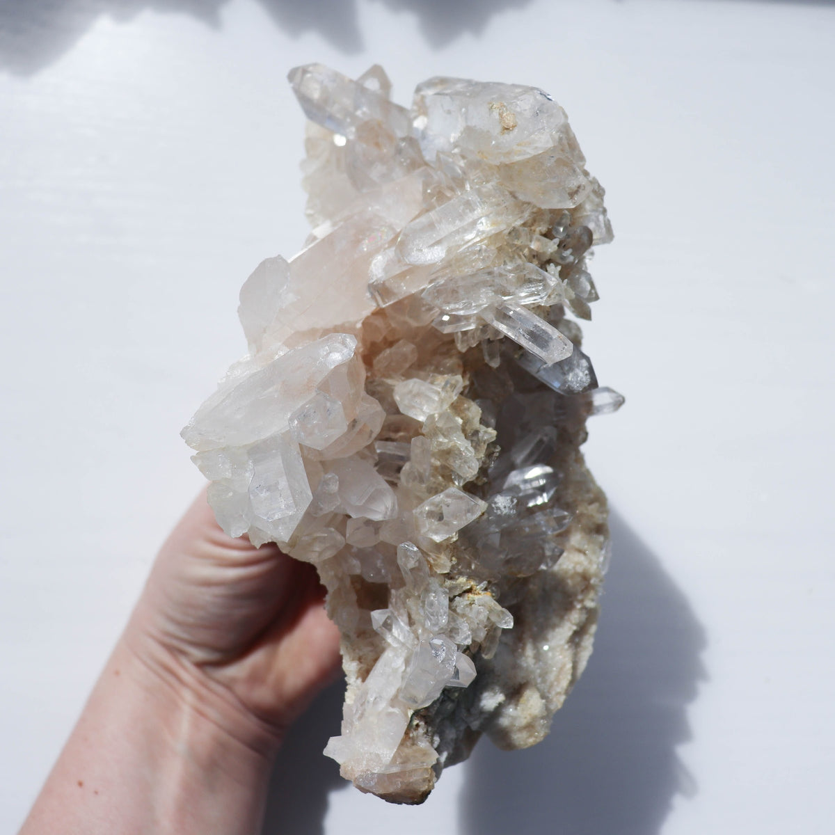 Golden Himalayan Cluster #2