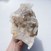 Golden Himalayan Cluster #4