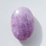 Kunzite Palm #01