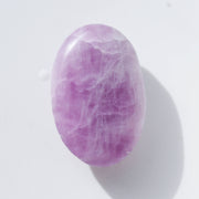 Kunzite Palm #02