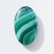 Malachite Palm #1