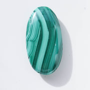 Malachite Palm #2