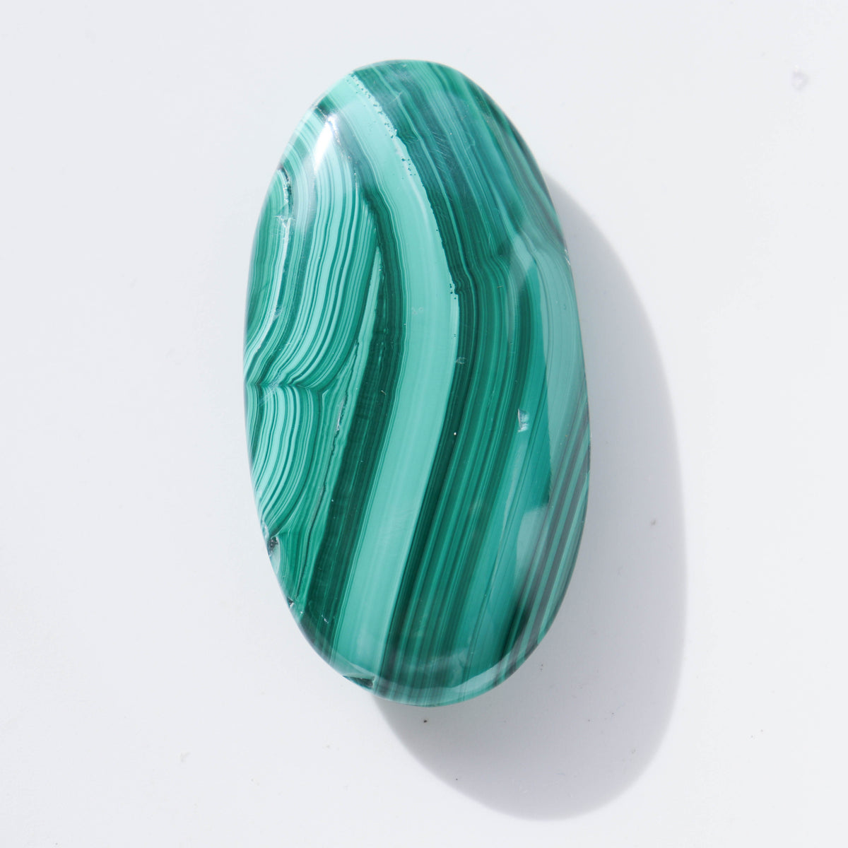 Malachite Palm #2