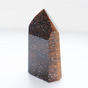 Tiger Eye Point #y