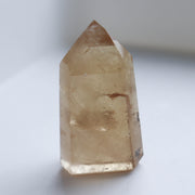 Rose Quartz Butterfly #1p