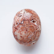 Crazy Lace Agate Palm #1v