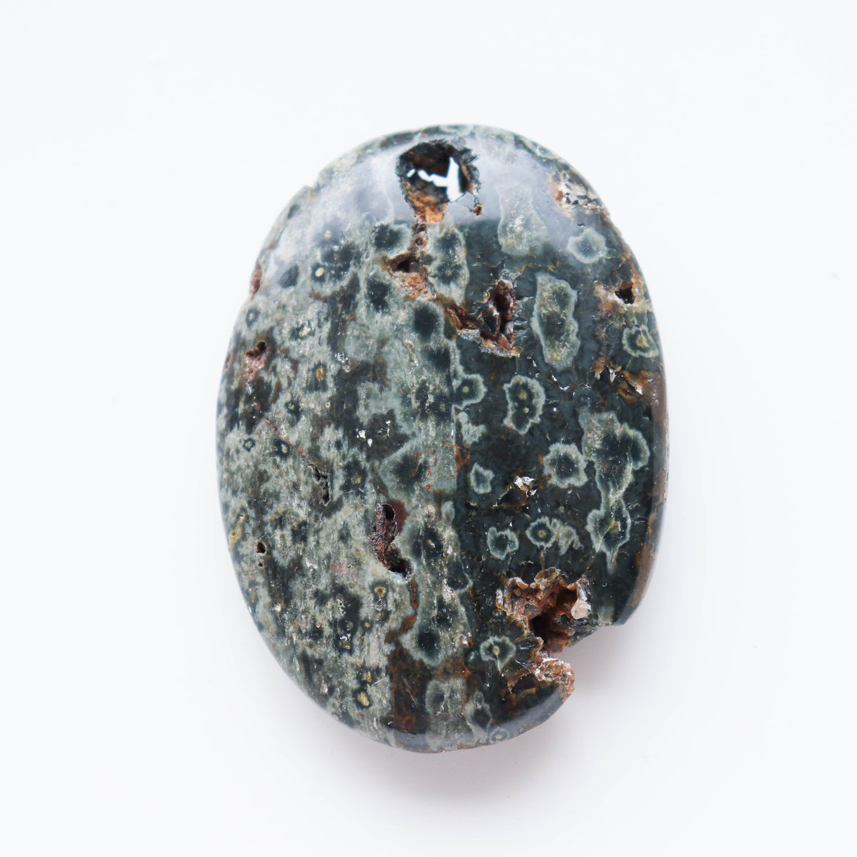 Crazy Lace Agate Palm #1w