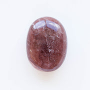 Cherry Tanzberry Palm #1y