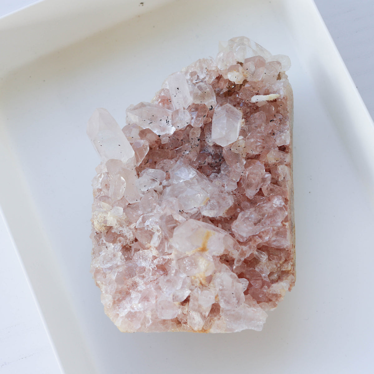 Pink Samadhi Himalayan Cluster #2K