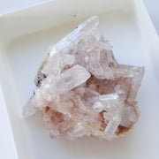 Pink Samadhi Himalayan Cluster #2L
