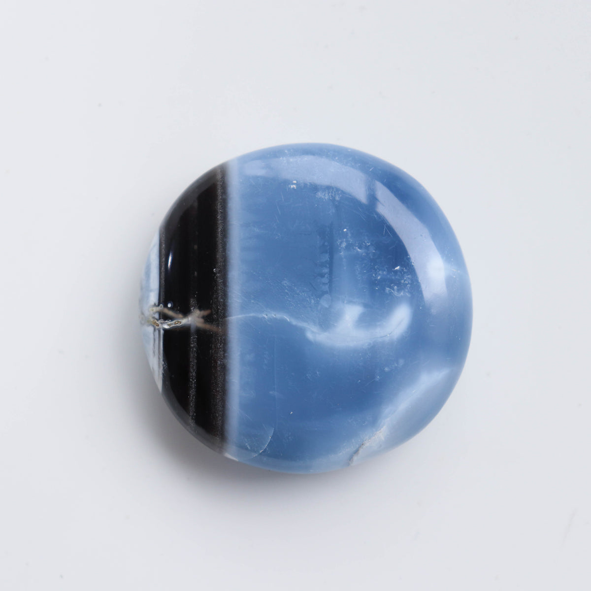 Blue Opal Palm #2