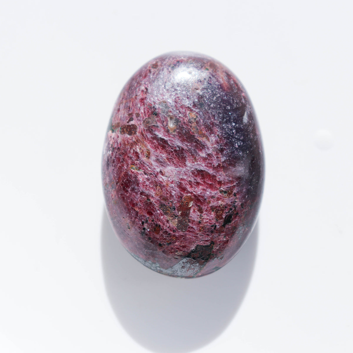 Ruby Palm #2