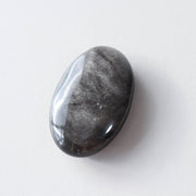 Silver Sheen Obsidian Palm #1