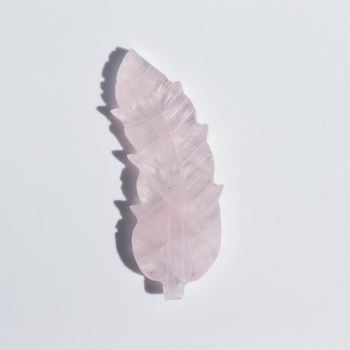 Rose Quartz Feather #1
