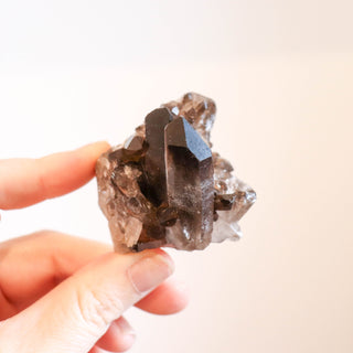 Smoky Quartz Cluster #6