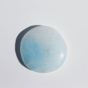 Carribean Calcite Palm #1