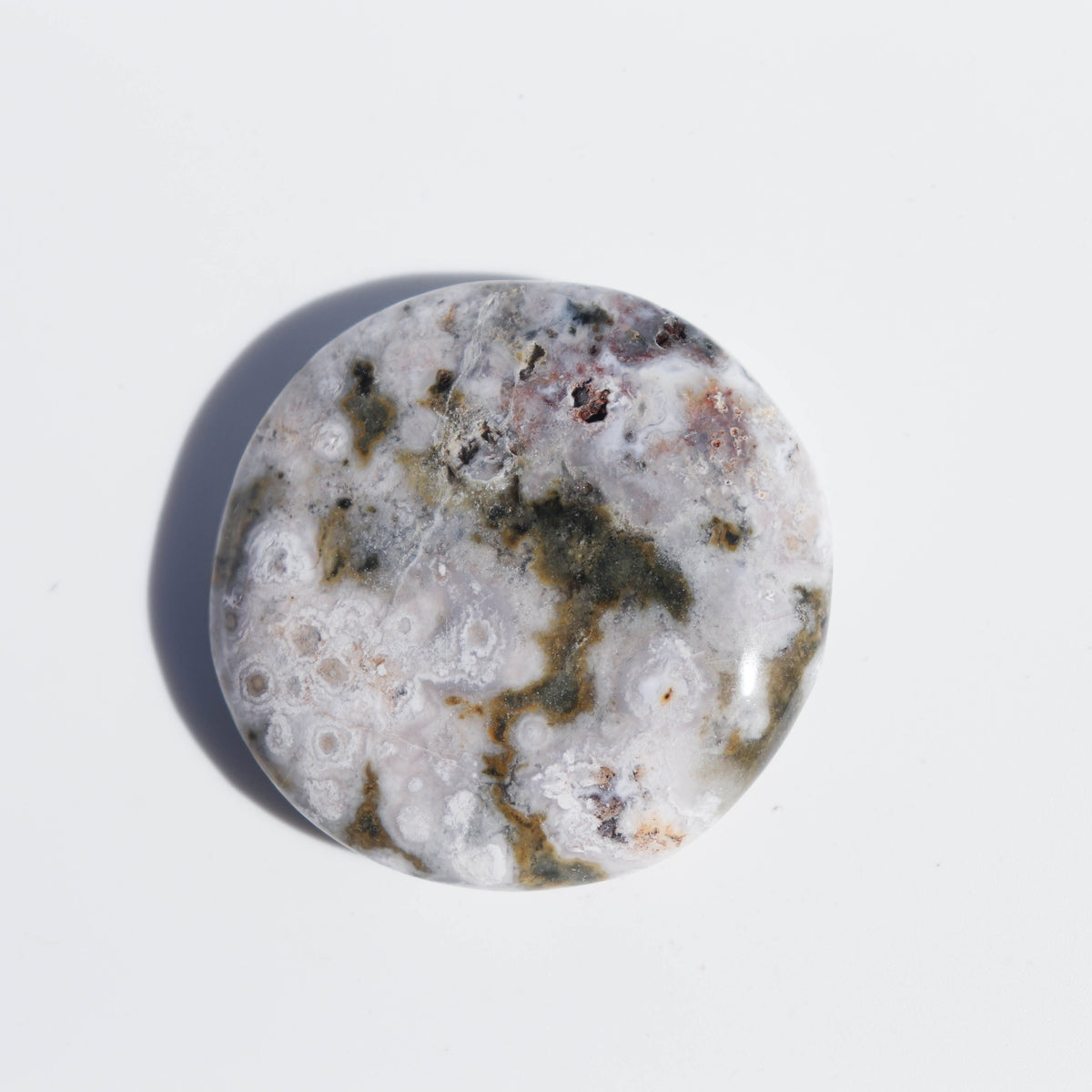 Ocean Jasper Palm #2