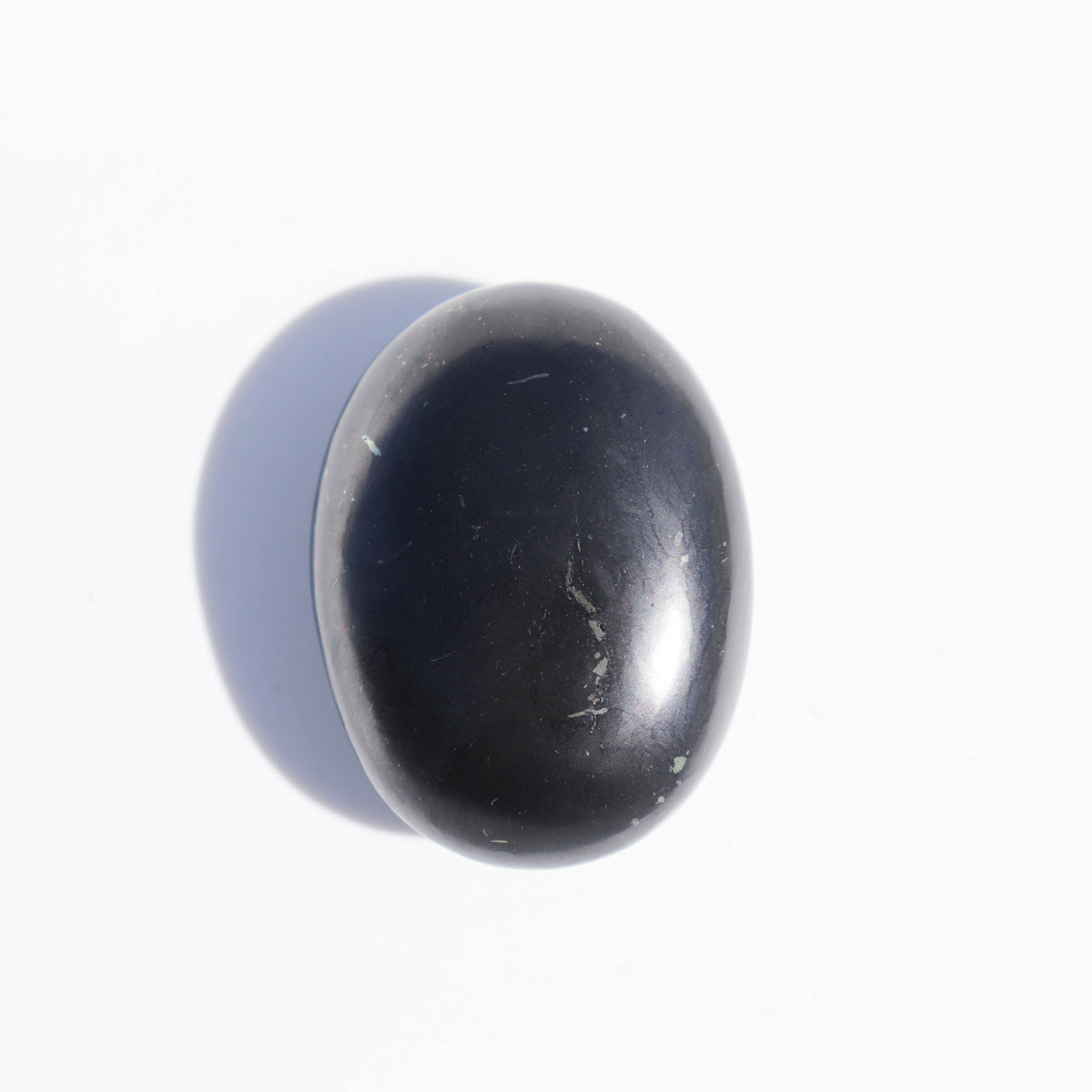 Shungite Puffy Palm #1