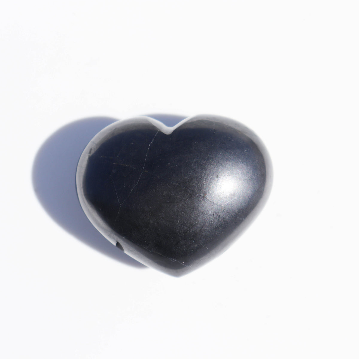 Shungite Puffy Palm #1
