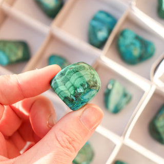 Malachite Chrysocolla Tumble #2