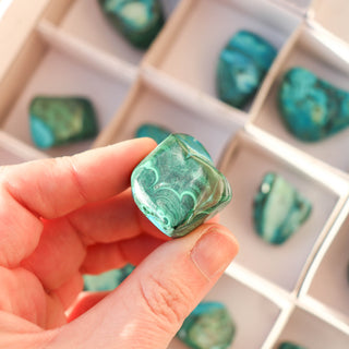 Malachite Chrysocolla Tumble #3