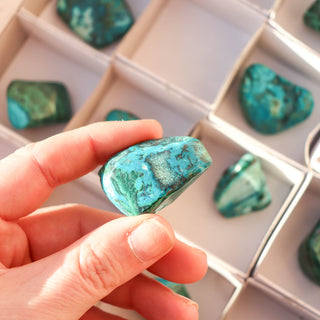 Malachite Chrysocolla Tumble #6