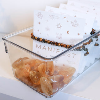 MANIFESTING TRIO $22 RRP $59