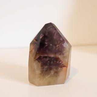 Amethyst Dreamcoat Point #3