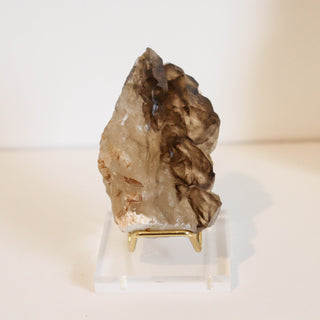 Alligator Quartz #2