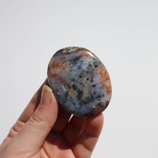 Turkish Dendritic Agate Palm #2