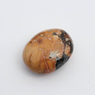 Maligano Jasper Palm #1