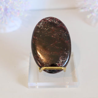 Garnet Palm #2