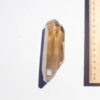 Phantom Citrine Lemurian #20