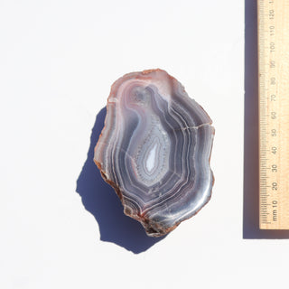 Agate Nodule #23