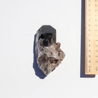 Smoky Quartz Cluster #37