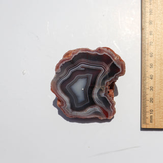 Agate Nodule #64