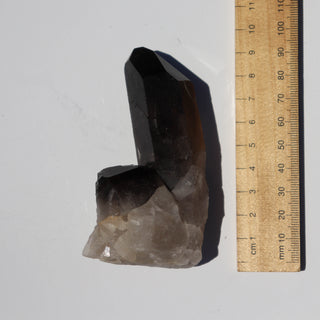 Smoky Quartz Cluster #107