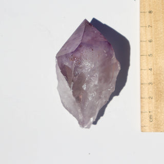 Amethyst Root #116