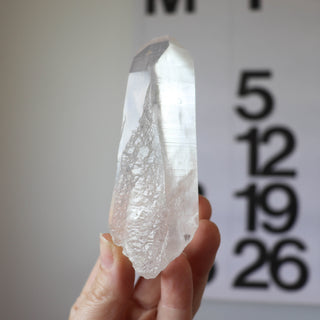 Chunky Lemurian Point #1